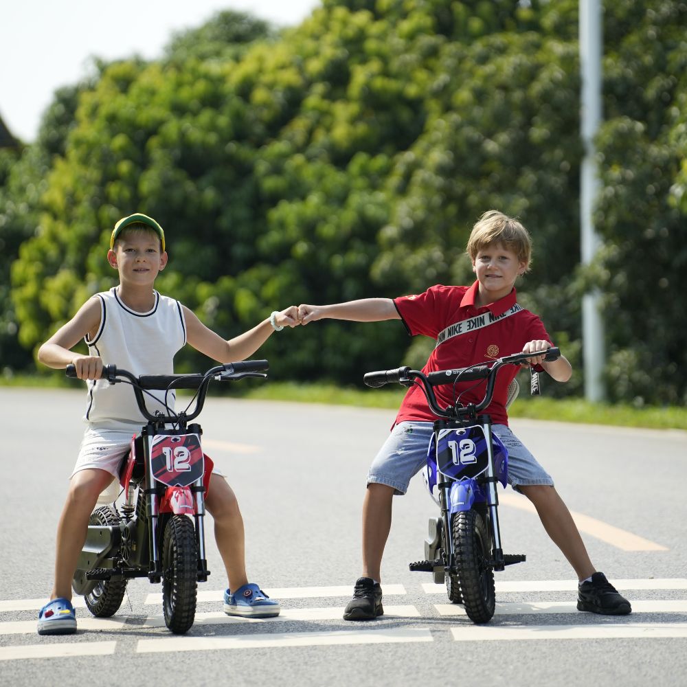 isinwheel A12 Motocicleta todoterreno eléctrica para niños de 350 W