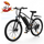 EB3 Bicicleta Eléctrica Todo Terreno para Desplazamientos Urbanos y Aventuras Off-Road